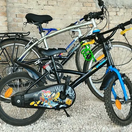 Antico Casale Caroli Maison d'hôtes Gattatico