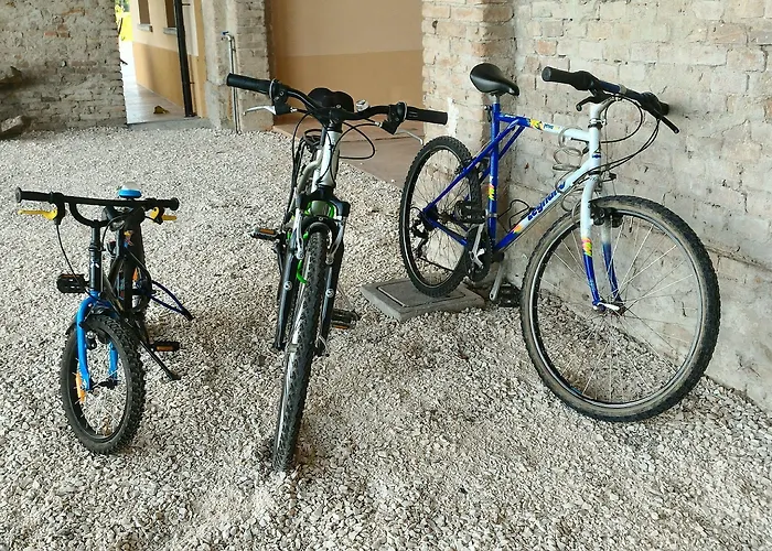 Antico Casale Caroli 4* Gattatico