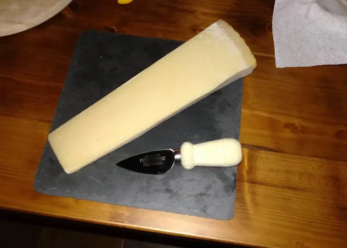 Gasthuis Antico Casale Caroli Gattatico